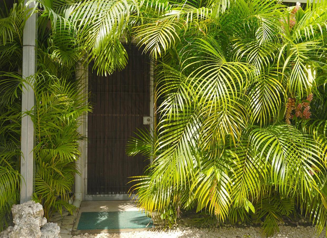 Apartamentos Y Studios Brisas Del Mar Santa Teresa Playa Santa Teresa  Ngoại thất bức ảnh